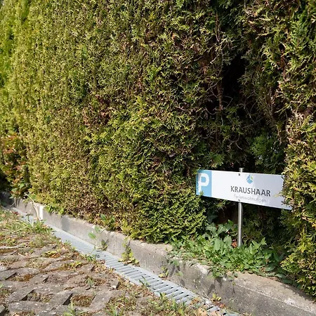 Erlenweg Seemowe